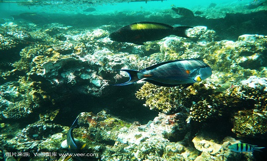 生態環境部發布16項生態環境標準 為開展環境基準研究提供數據保障